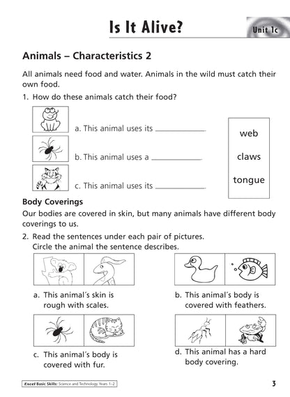 Excel Basic Skills - Science and Technology Years 1-2