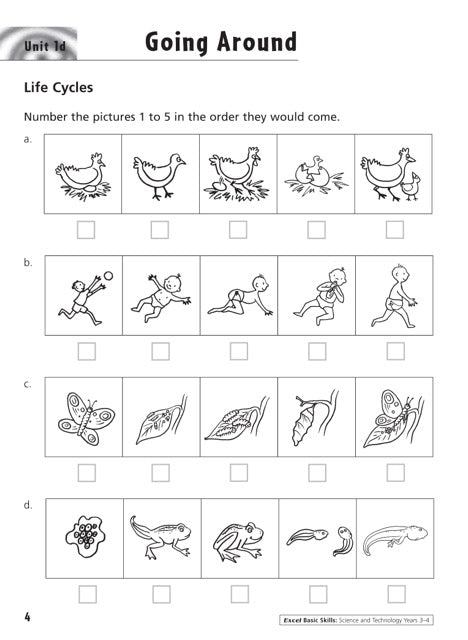 Excel Basic Skills - Science and Technology Years 3-4