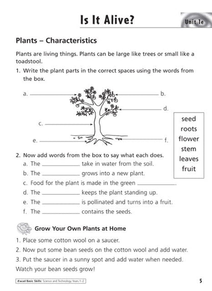 Excel Basic Skills - Science and Technology Years 1-2