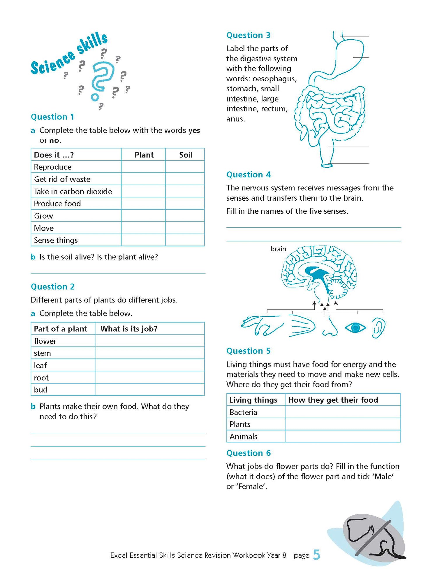 Excel Essential Skills - Science Revision Workbook Year 8
