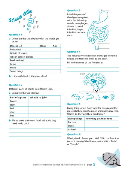 Excel Essential Skills - Science Revision Workbook Year 8