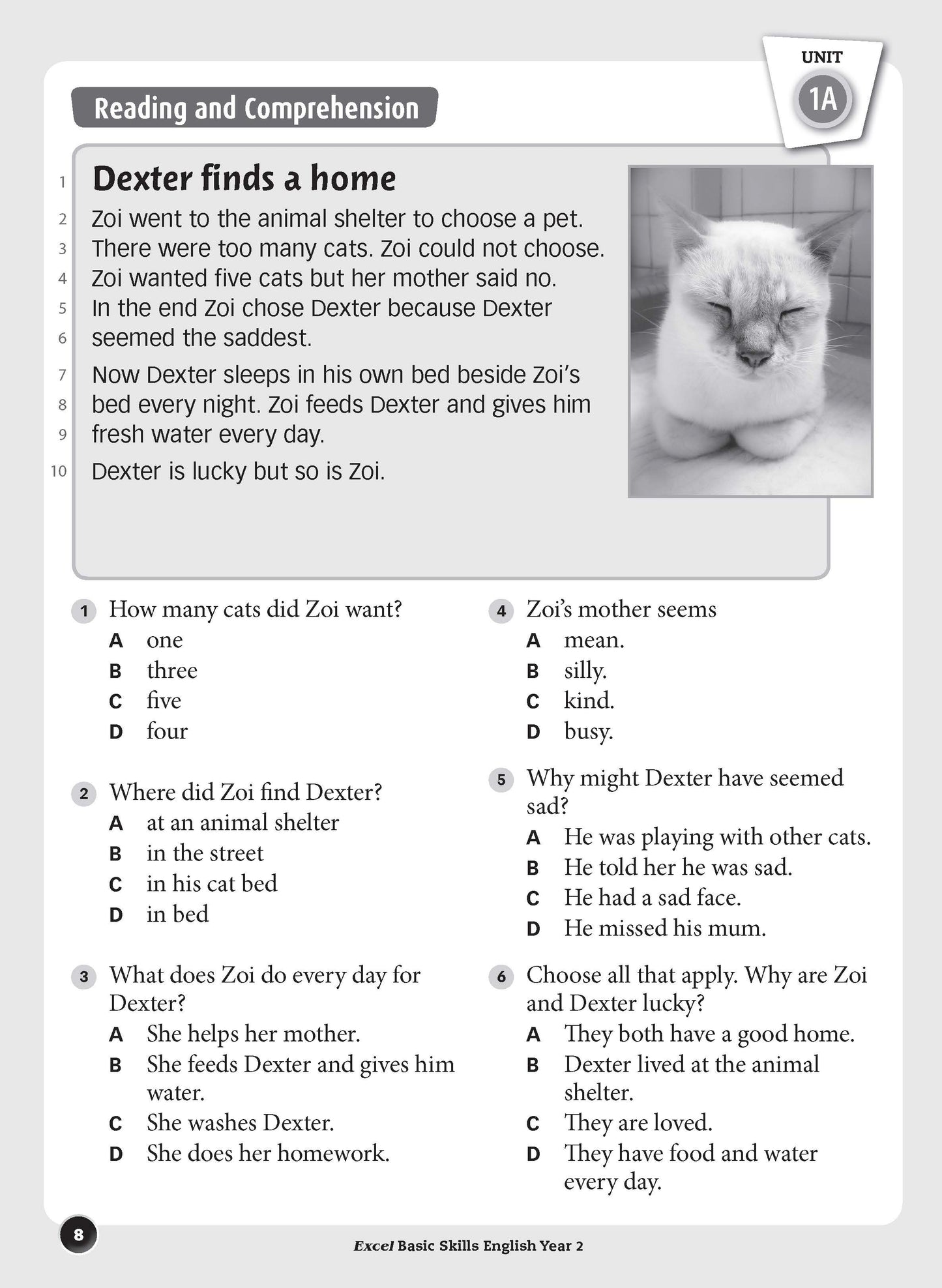 Excel Basic Skills - English Year 2