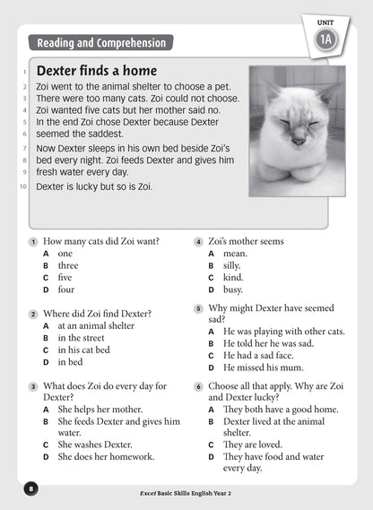 Excel Basic Skills - English Year 2