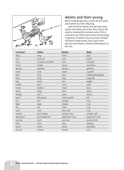 Excel Essential Skills - All You Need To Know About Grammar Years 7-10