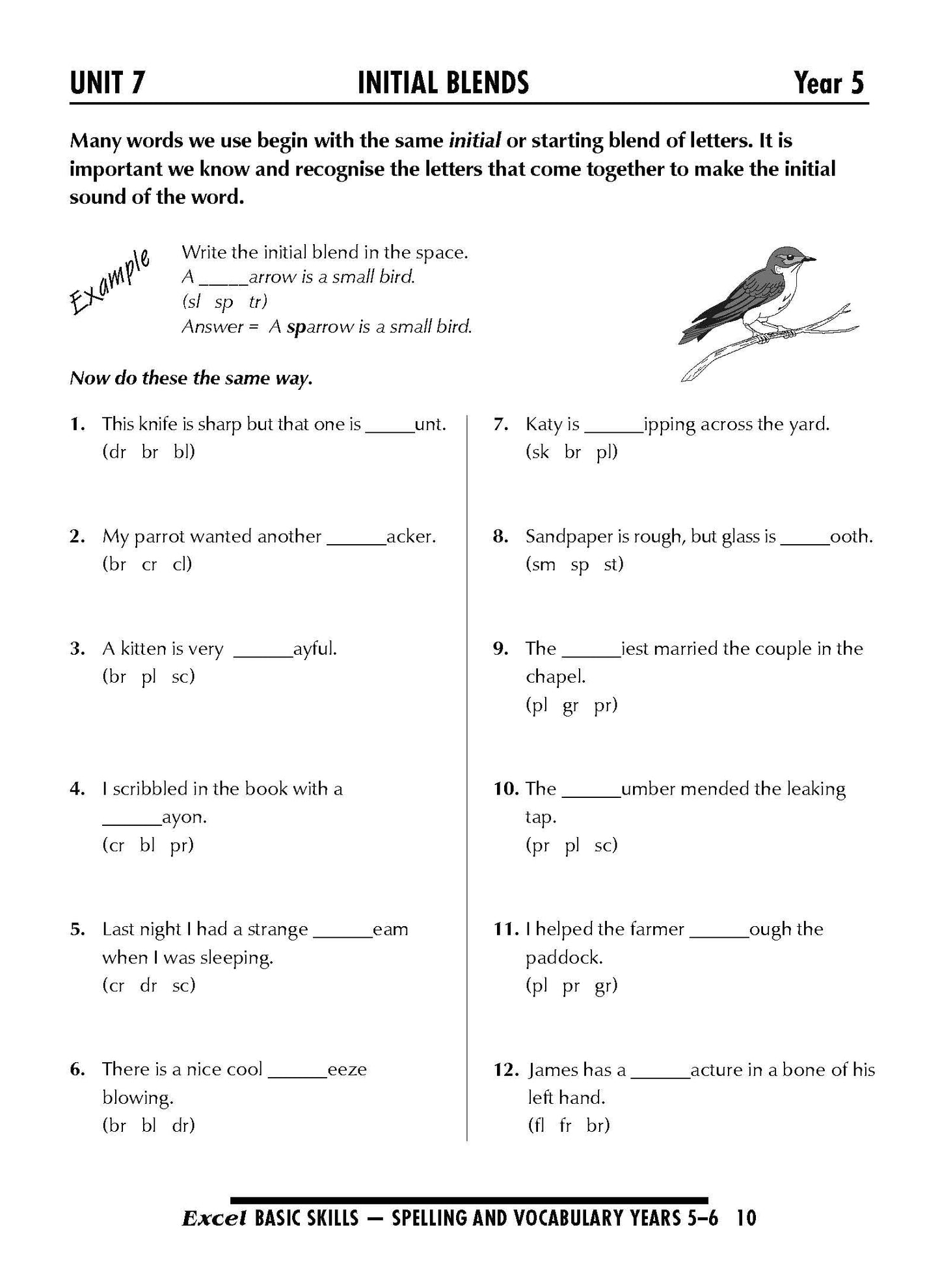 Excel Basic Skills - Spelling and Vocabulary Years 5-6