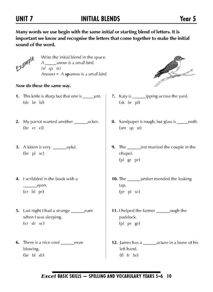 Excel Basic Skills - Spelling and Vocabulary Years 5-6