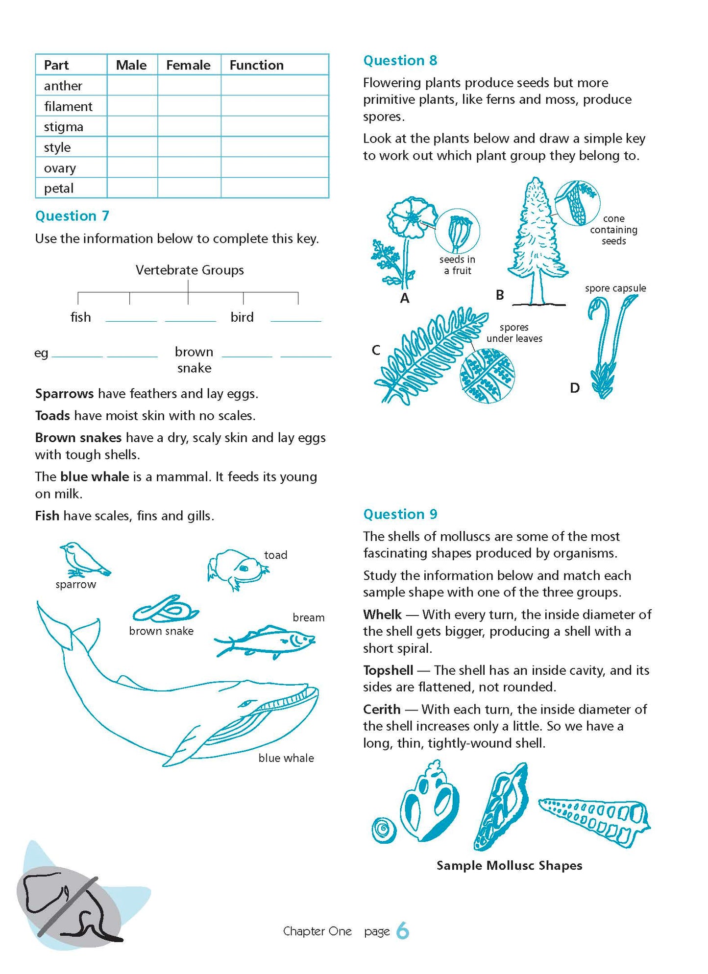 Excel Essential Skills - Science Revision Workbook Year 8