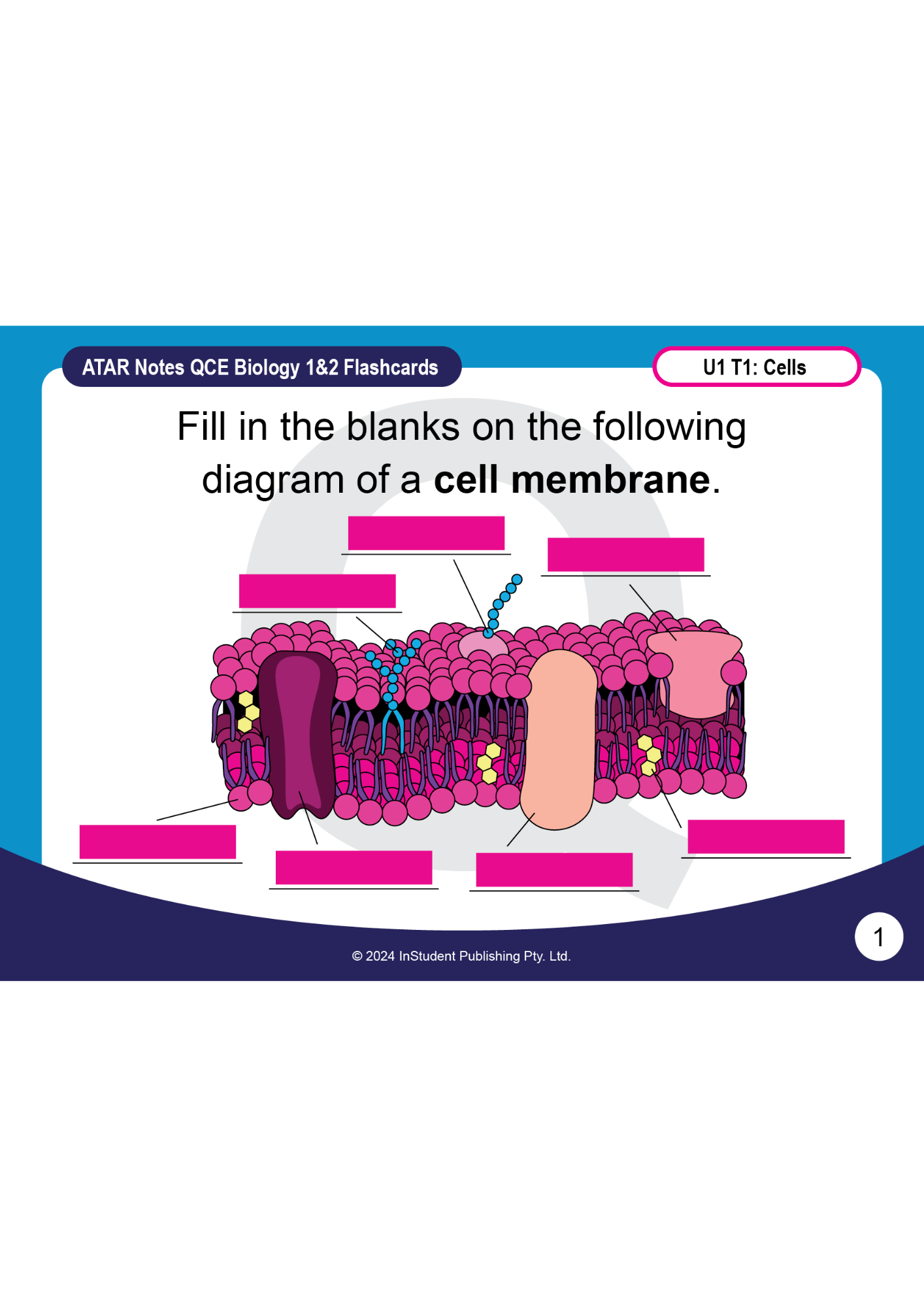 QCE Biology 1&2 study flashcard from ATAR Notes with a cell membrane diagram for filling in blanks.
