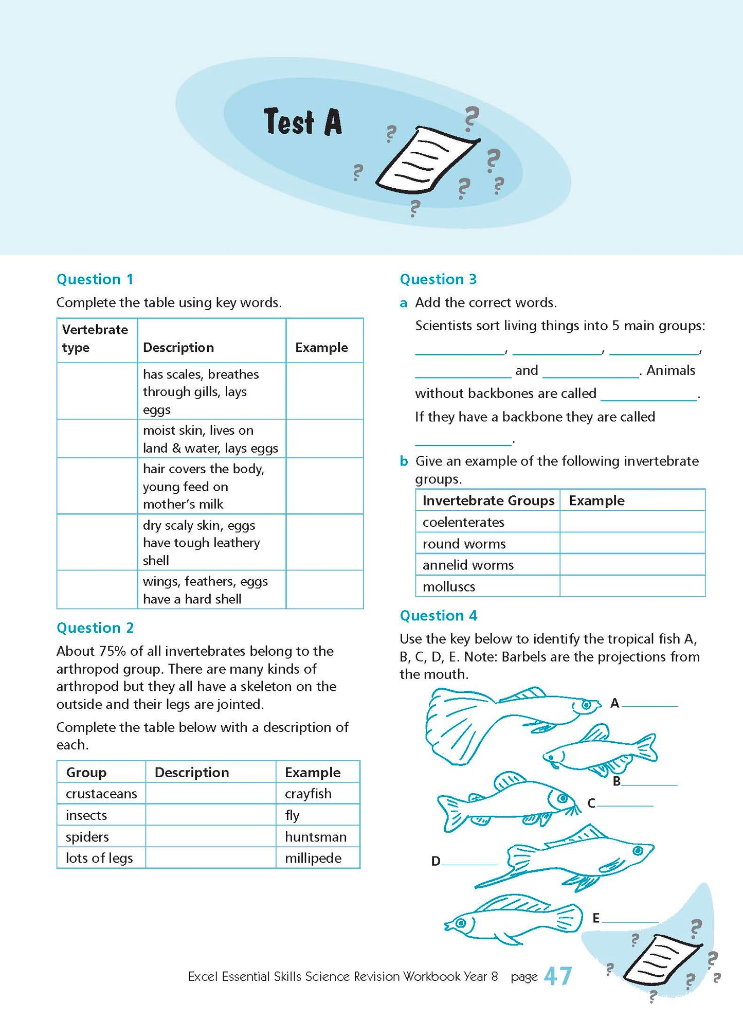 Excel Essential Skills - Science Revision Workbook Year 8