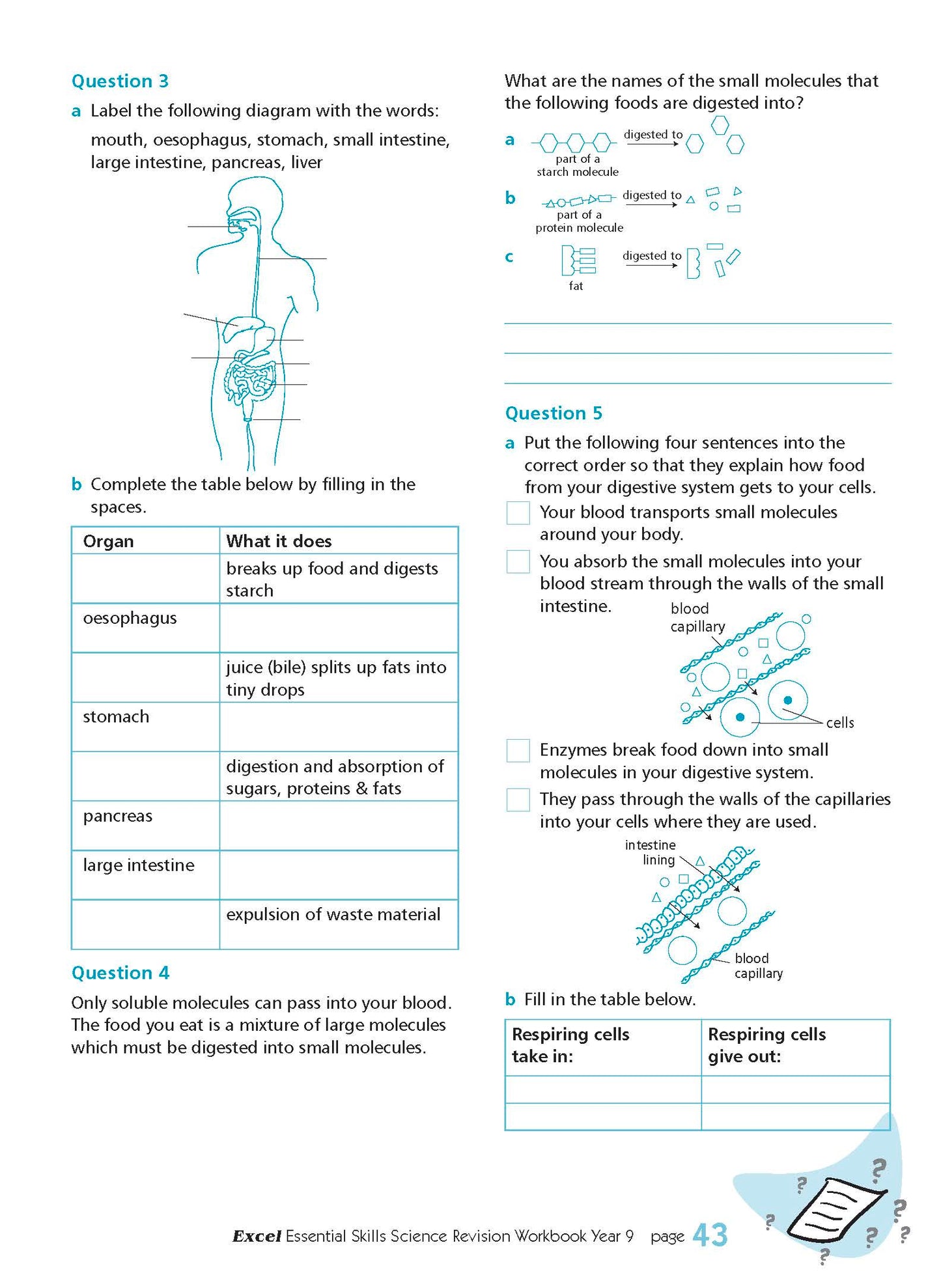 Excel Essential Skills - Science Revision Workbook Year 9
