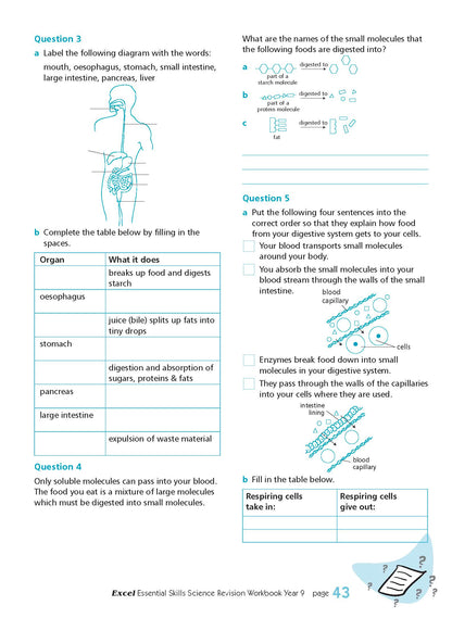 Excel Essential Skills - Science Revision Workbook Year 9