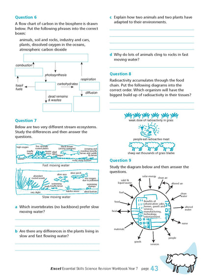 Excel Essential Skills - Science Revision Workbook Year 7