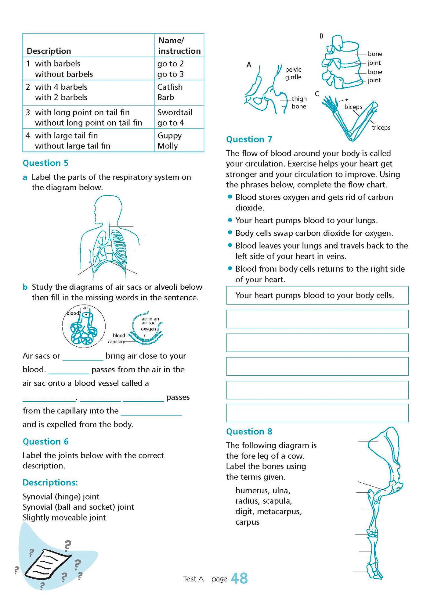 Excel Essential Skills - Science Revision Workbook Year 8