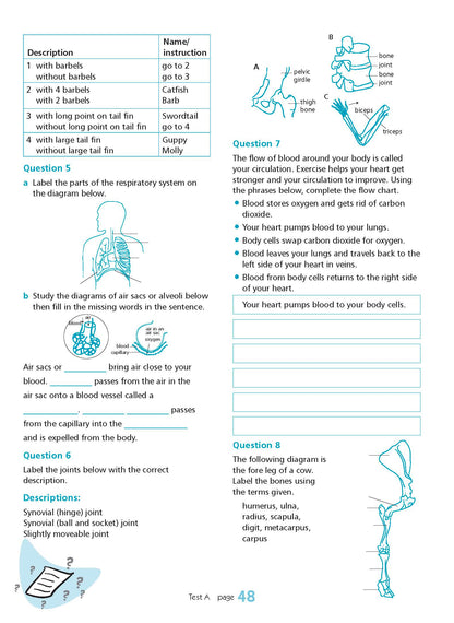 Excel Essential Skills - Science Revision Workbook Year 8