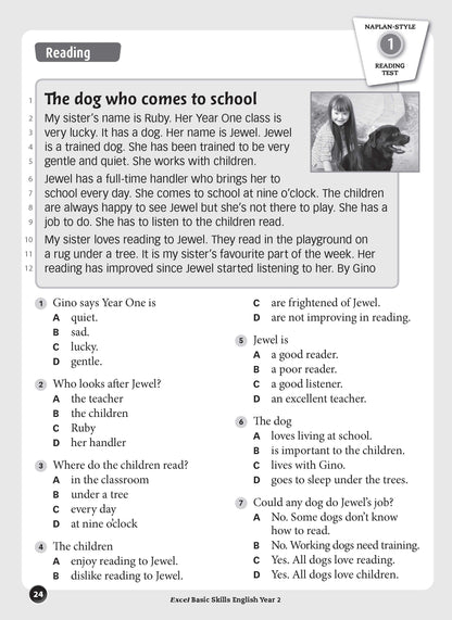 Excel Basic Skills - English Year 2