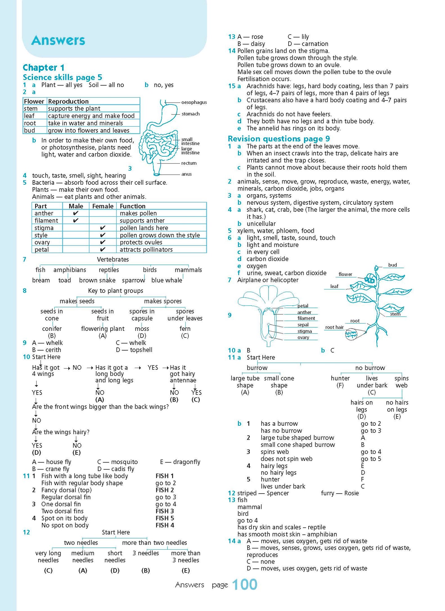 Excel Essential Skills - Science Revision Workbook Year 8