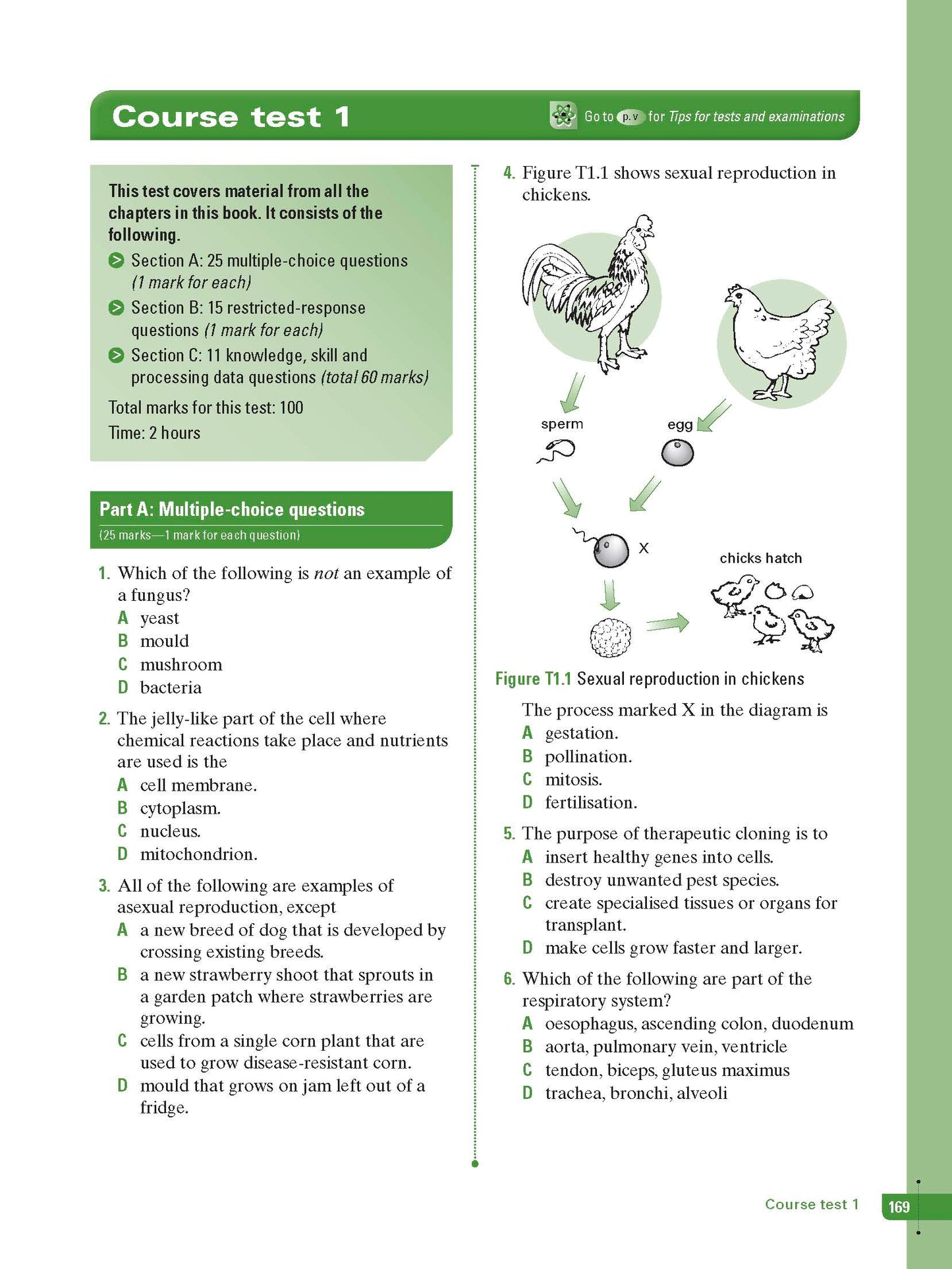 Excel Study Guide - Science Year 8