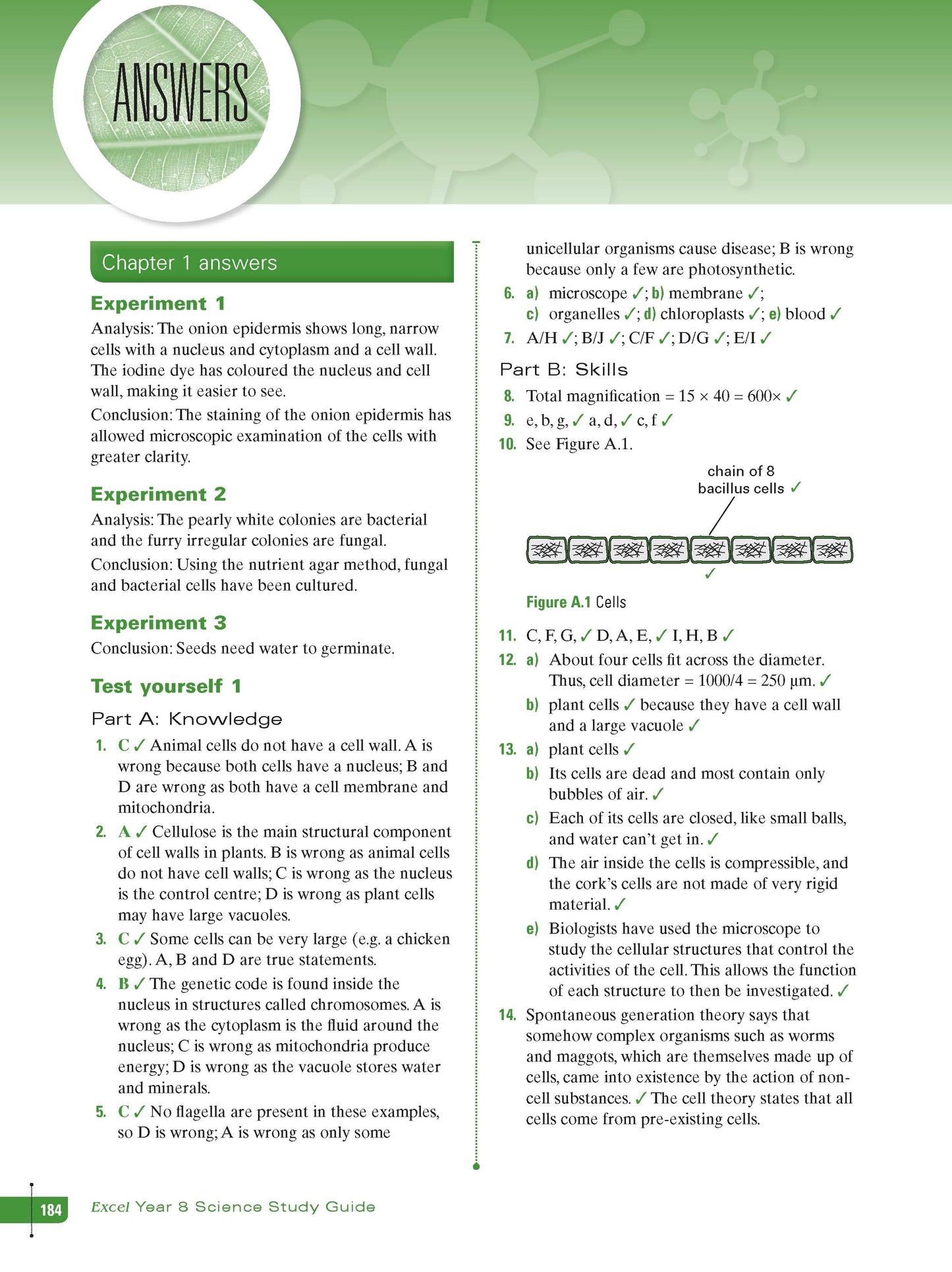 Excel Study Guide - Science Year 8