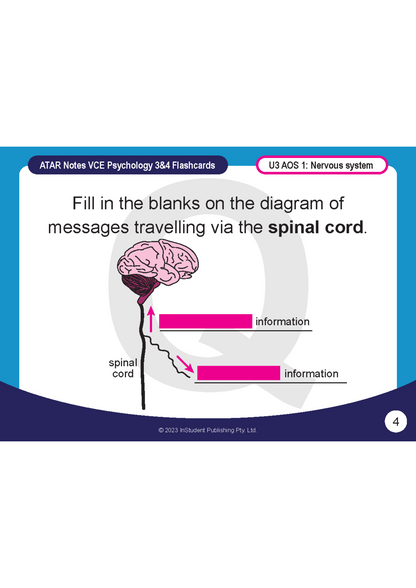 Psychology flashcard by ATAR Notes for VCE 3&4, depicting a brain and spinal cord diagram with information flow.