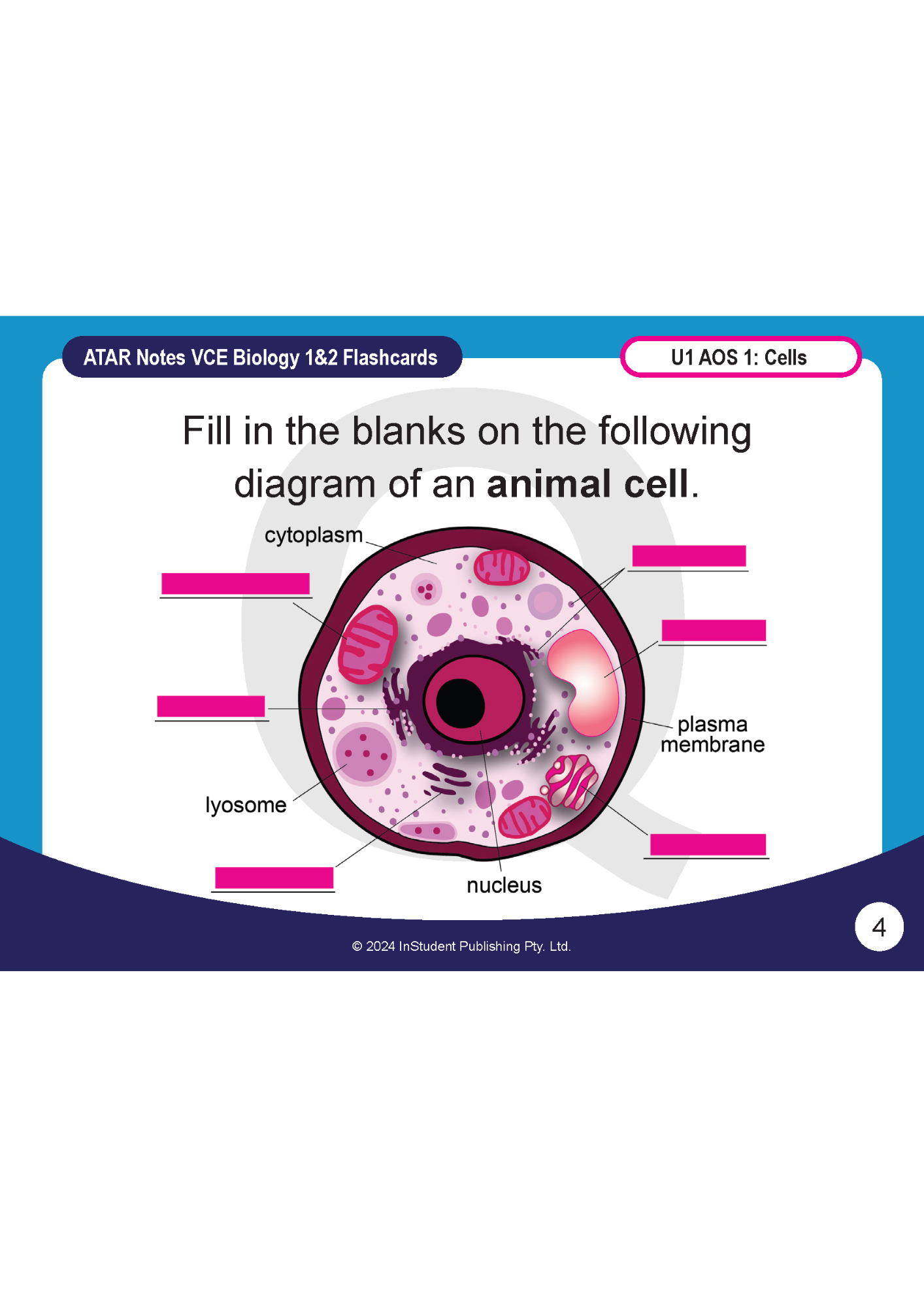Digital flashcard by ATAR Notes displaying an animal cell diagram with blank labels for VCE Biology 1&2.