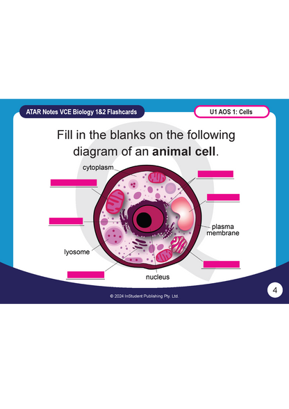 Digital flashcard by ATAR Notes displaying an animal cell diagram with blank labels for VCE Biology 1&2.