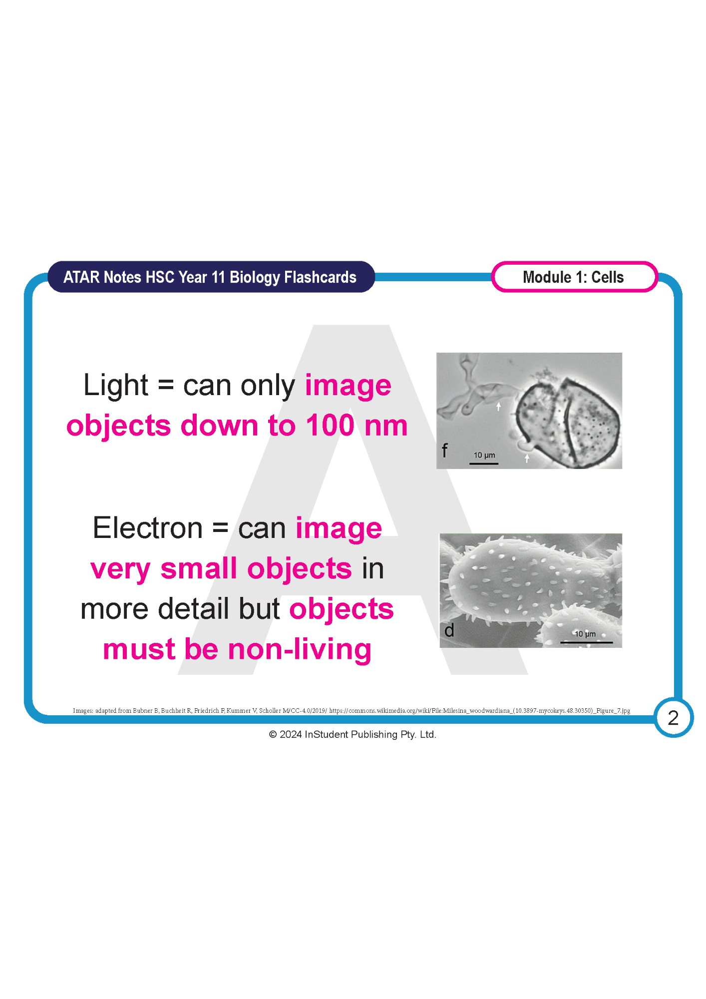 Biology flashcard by ATAR Notes for Year 11, explaining light and electron microscopy with example images and a "Module 1: Cells" label.