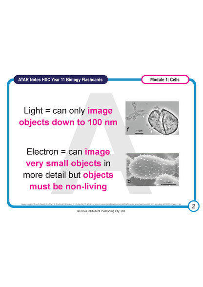 Biology flashcard by ATAR Notes for Year 11, explaining light and electron microscopy with example images and a "Module 1: Cells" label.