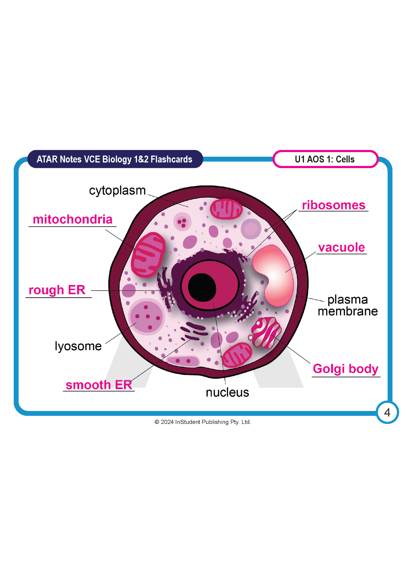 Biology flashcard from ATAR Notes depicting a cell diagram with labeled organelles and 'VCE Biology 1&2' text.