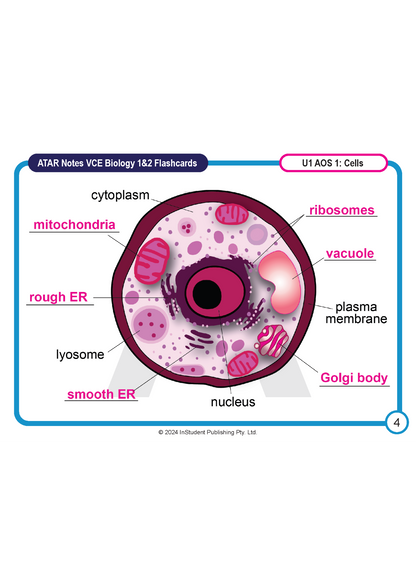 Biology flashcard from ATAR Notes depicting a cell diagram with labeled organelles and 'VCE Biology 1&2' text.