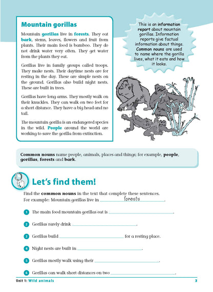 Excel Advanced Skills - Grammar and Punctuation Workbook Year 2