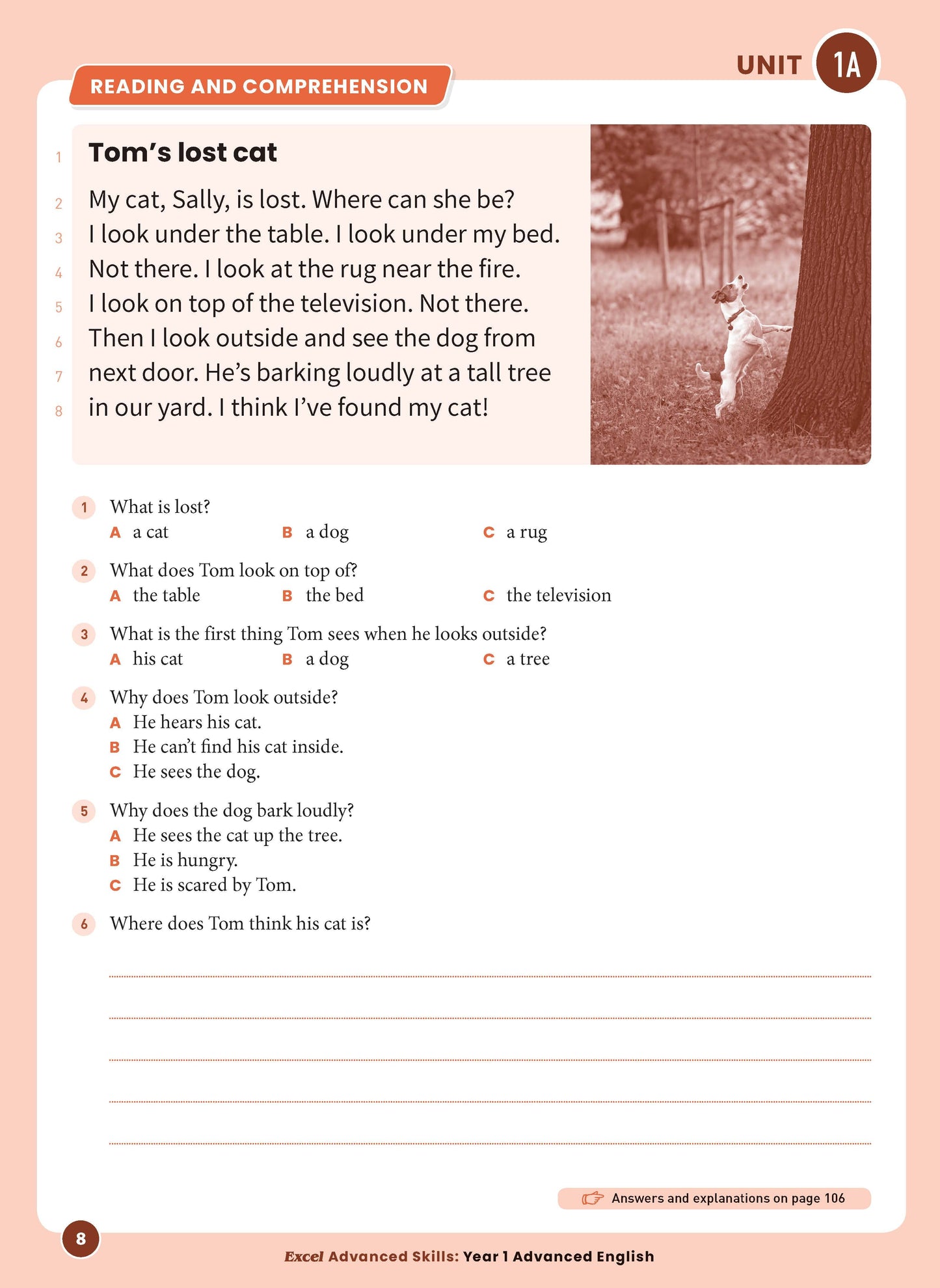 Excel Advanced Skills - Advanced English Year 1