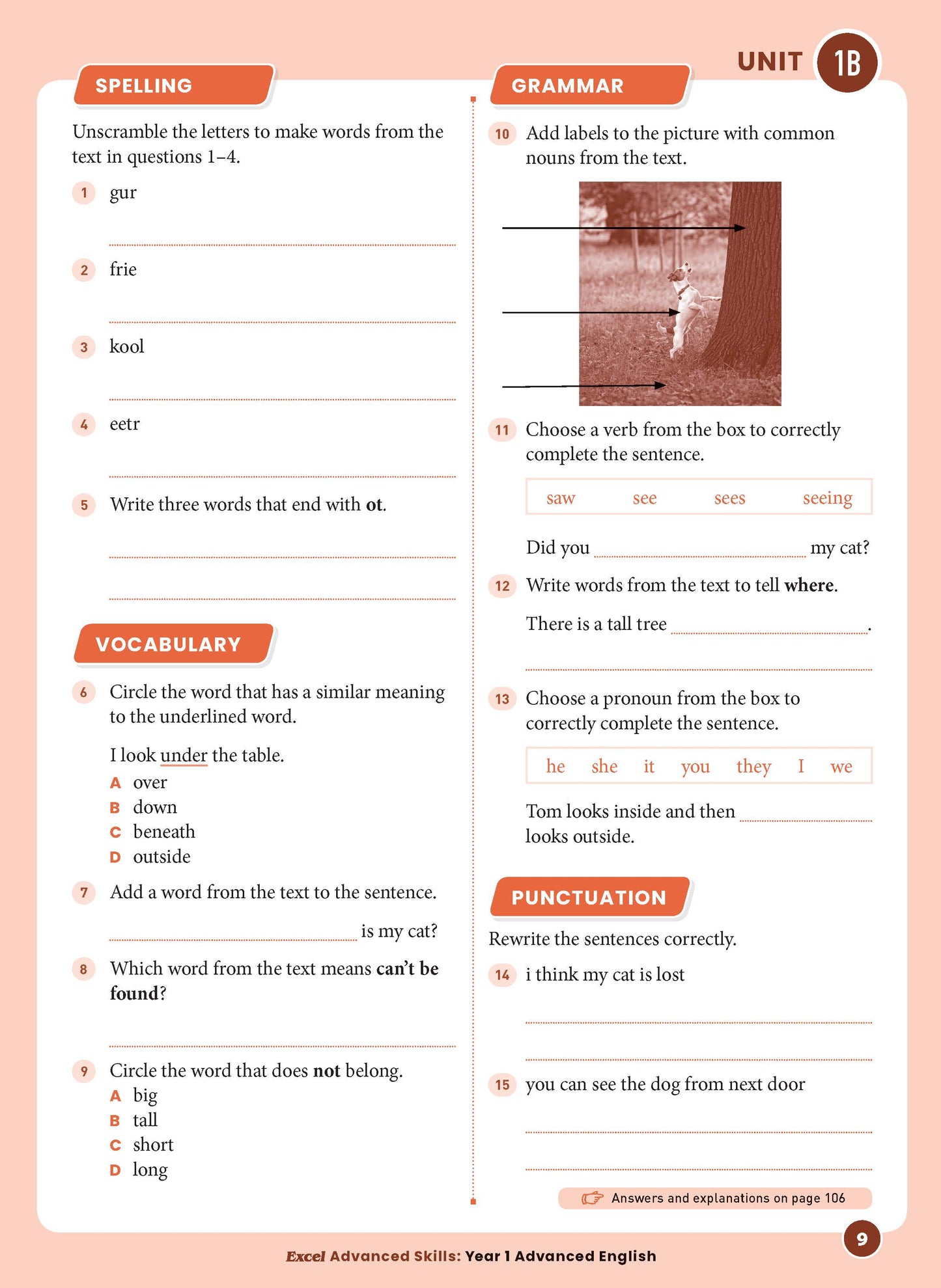 Excel Advanced Skills - Advanced English Year 1