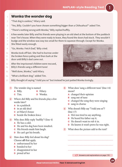 Excel Advanced Skills - Advanced English Year 3