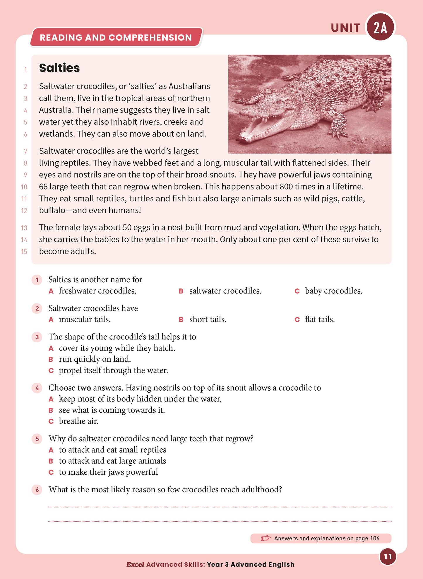 Excel Advanced Skills - Advanced English Year 3