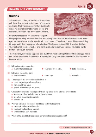 Excel Advanced Skills - Advanced English Year 3