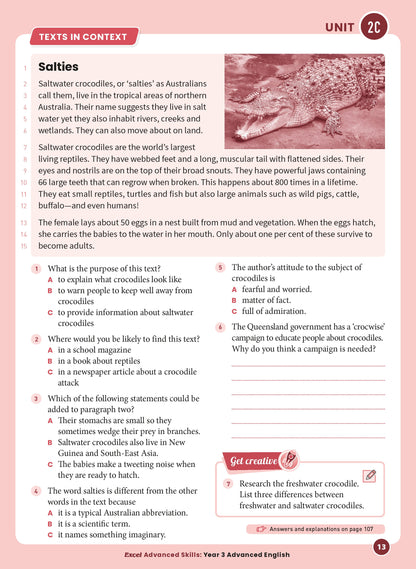 Excel Advanced Skills - Advanced English Year 3