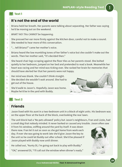 Excel Advanced Skills - Advanced English Year 4