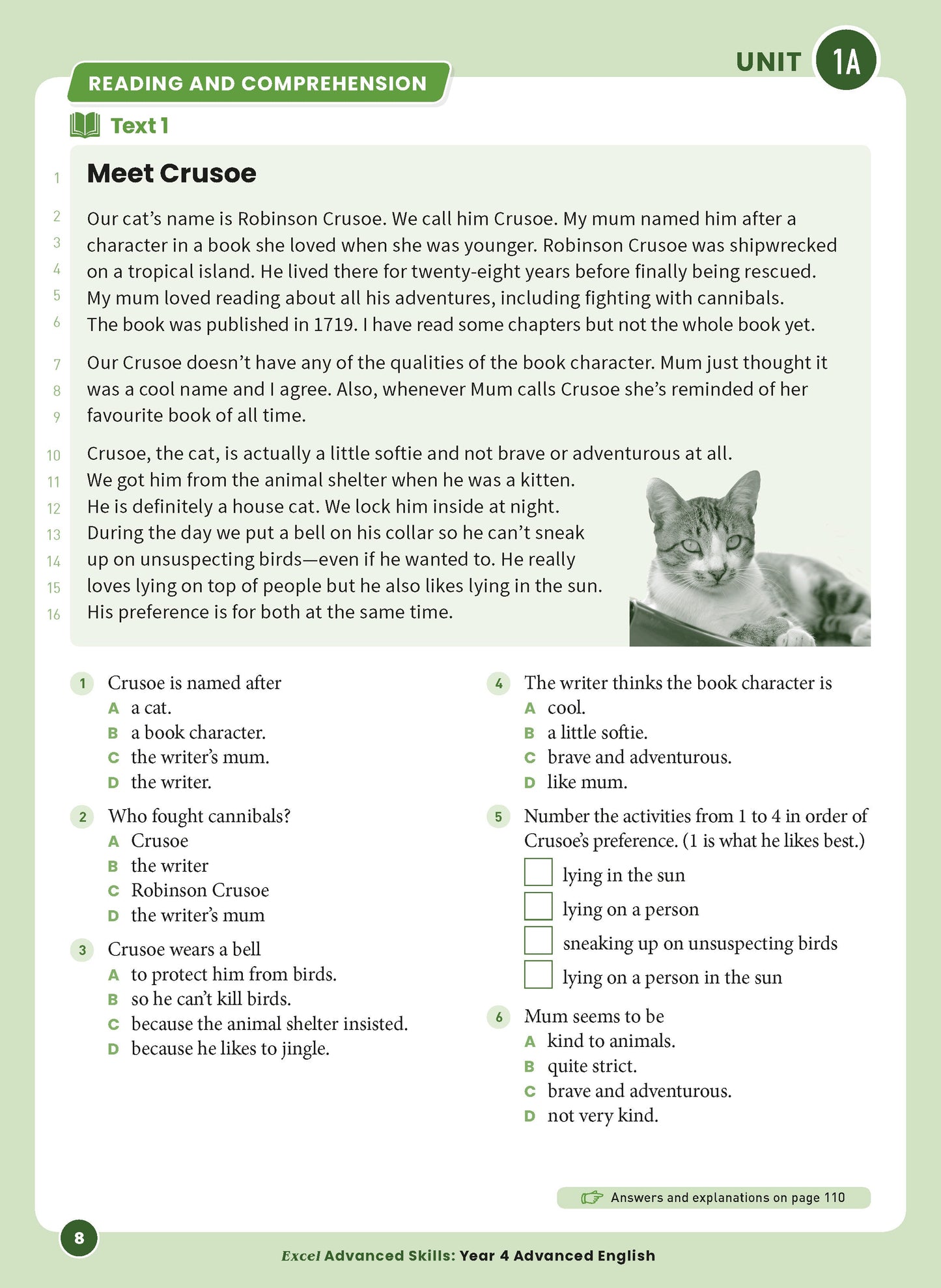 Excel Advanced Skills - Advanced English Year 4