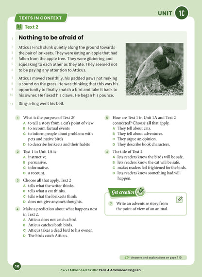 Excel Advanced Skills - Advanced English Year 4