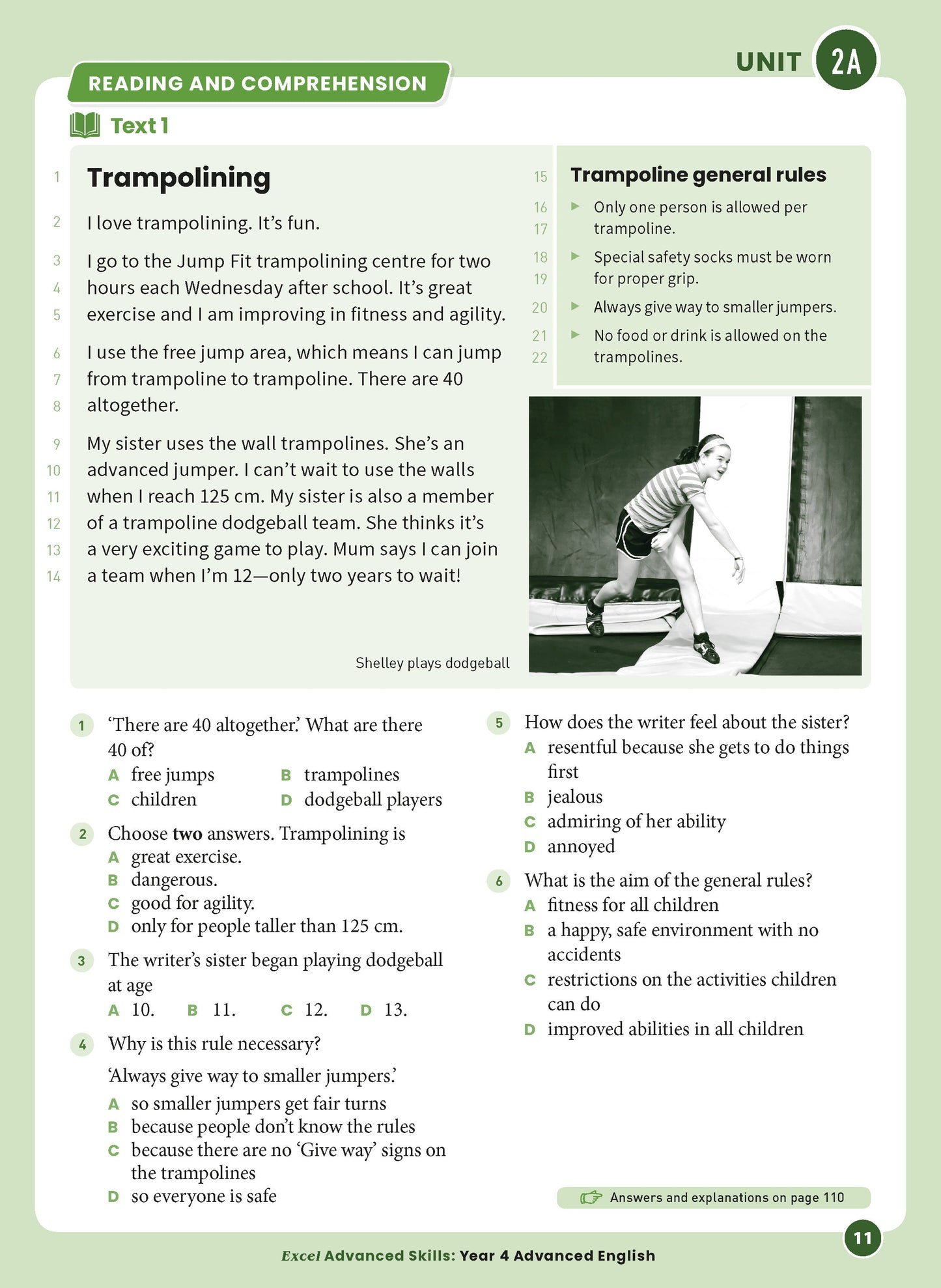 Excel Advanced Skills - Advanced English Year 4