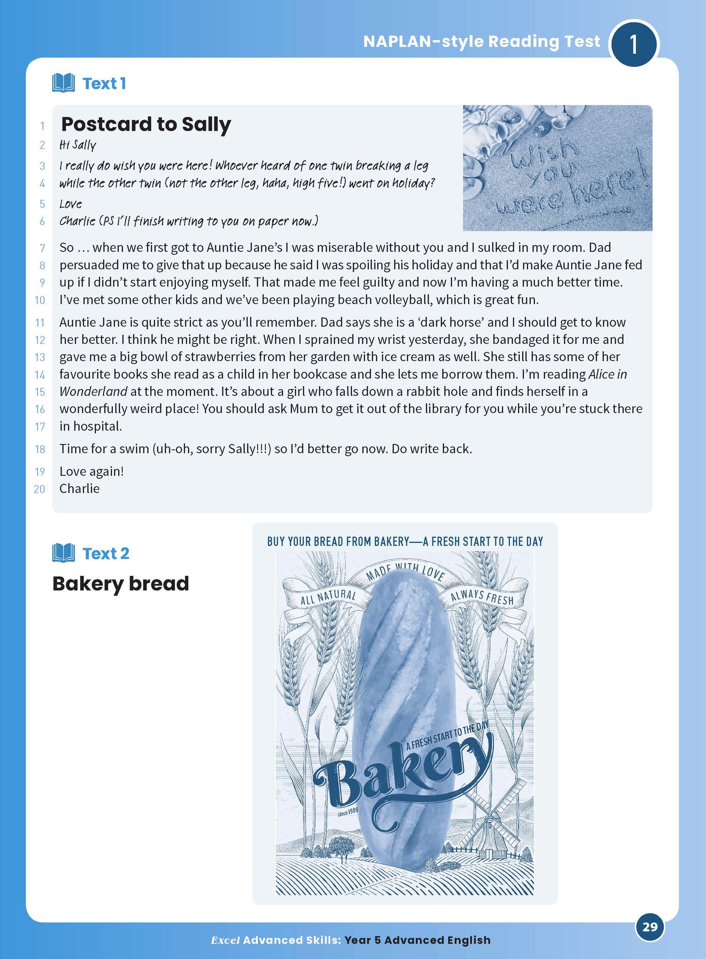 Excel Advanced Skills - Advanced English Year 5