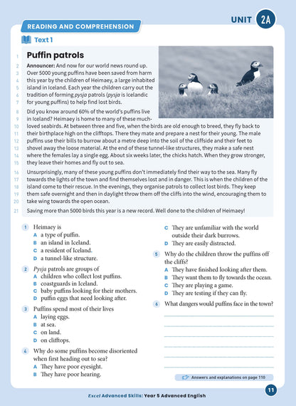 Excel Advanced Skills - Advanced English Year 5