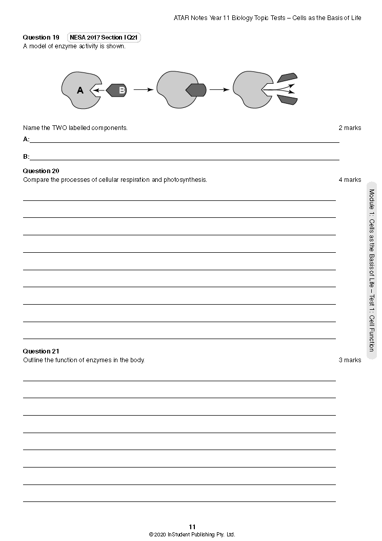 HSC Year 11 Biology topic test page by ATAR Notes, displaying questions on enzyme activity, cellular respiration, and photosynthesis.