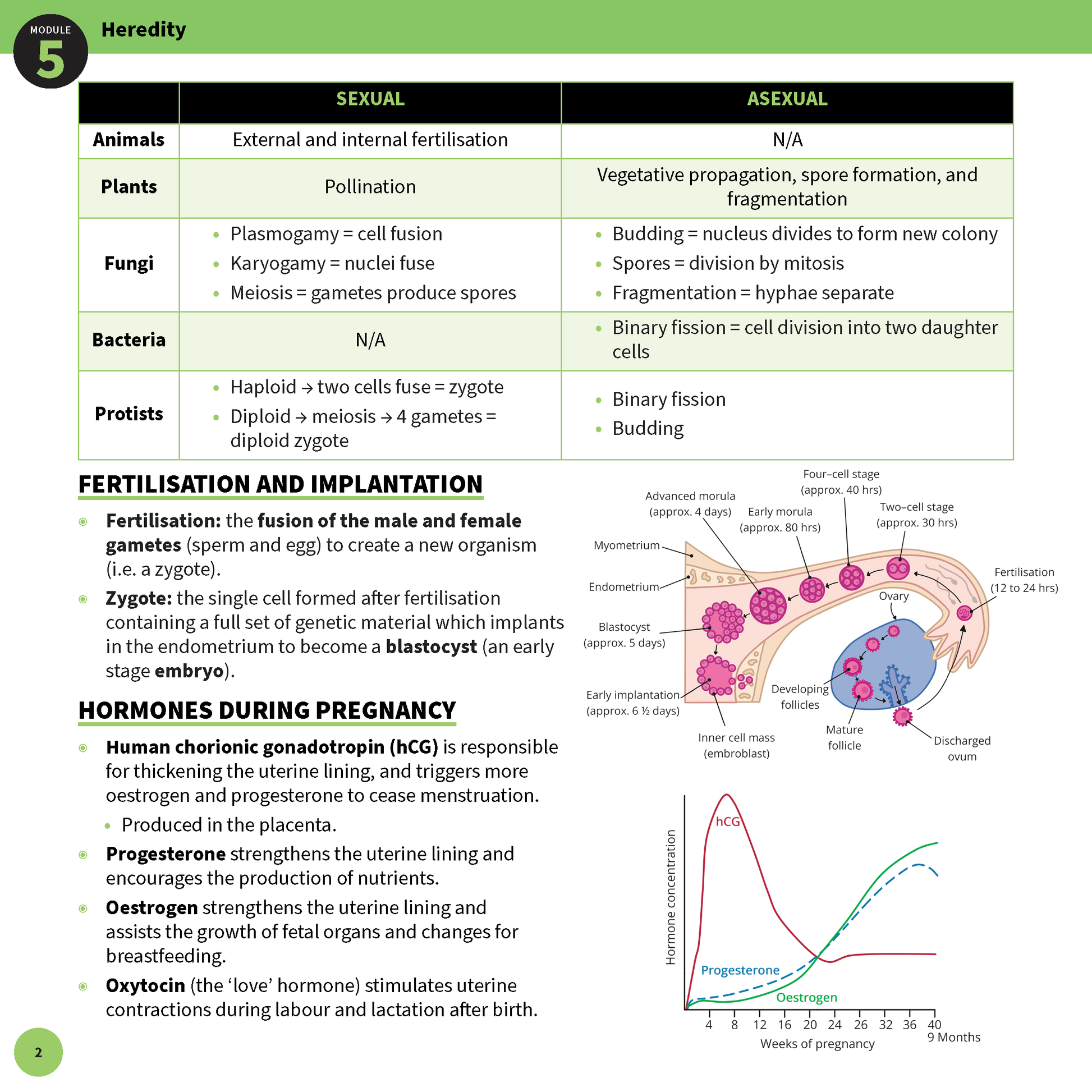 Biology summary sheet page from ATAR Notes detailing heredity, fertilisation, and pregnancy hormones with diagrams and a graph.