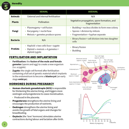 Biology summary sheet page from ATAR Notes detailing heredity, fertilisation, and pregnancy hormones with diagrams and a graph.