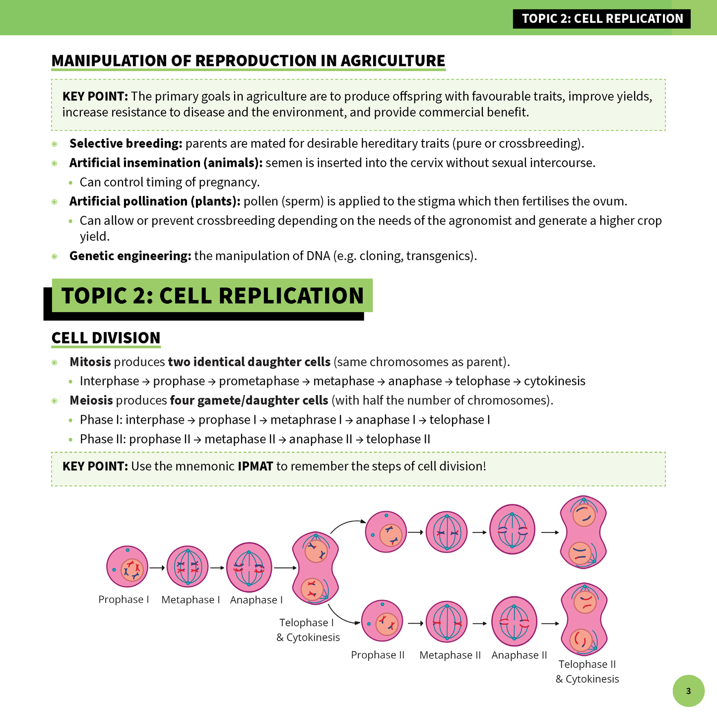 White and green summary sheet by ATAR Notes, showing biology content on cell replication and reproduction, with colorful diagrams.