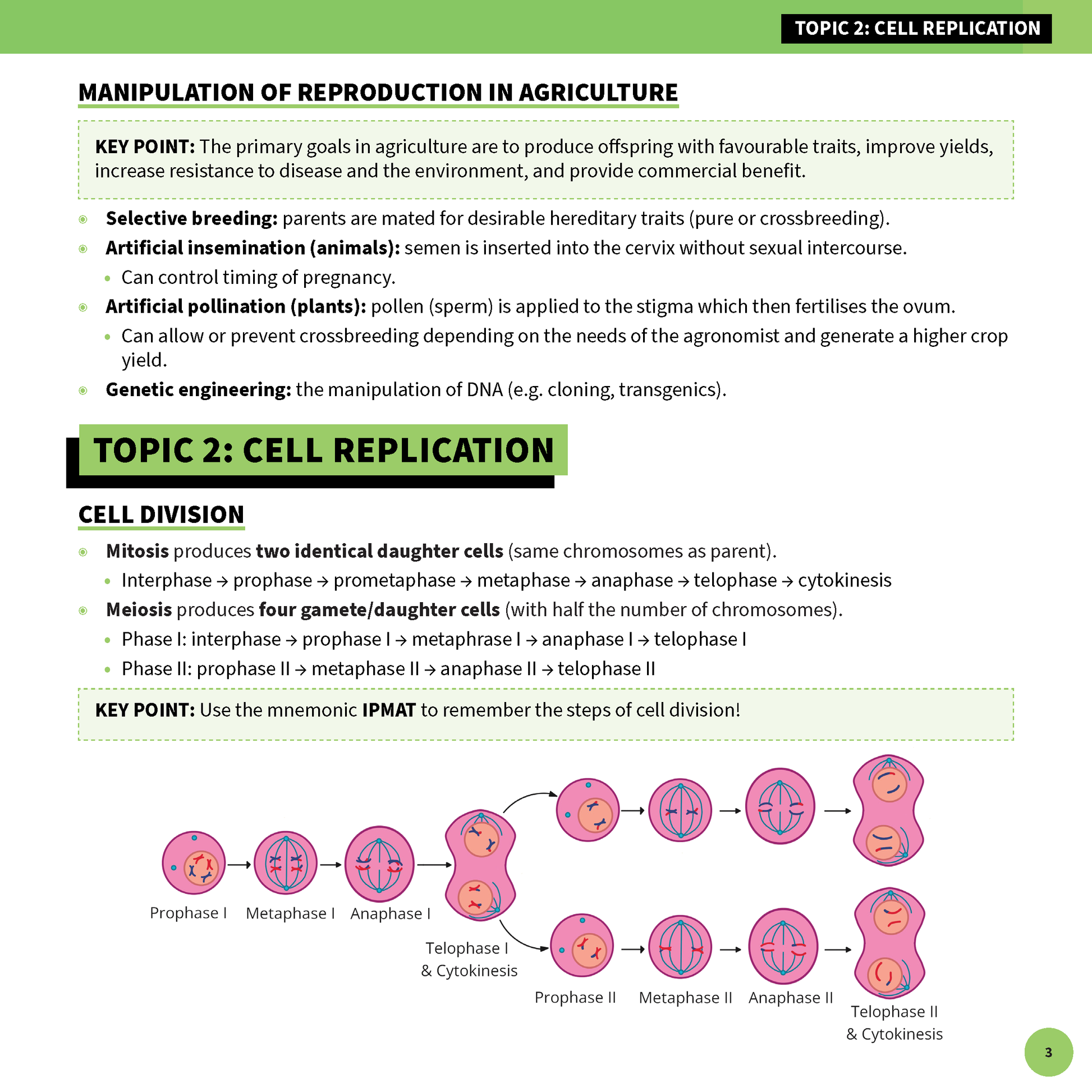 White and green summary sheet by ATAR Notes, showing biology content on cell replication and reproduction, with colorful diagrams.