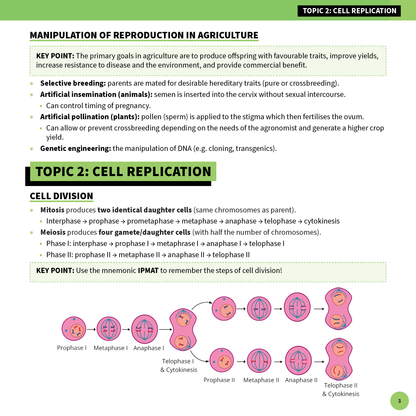 White and green summary sheet by ATAR Notes, showing biology content on cell replication and reproduction, with colorful diagrams.