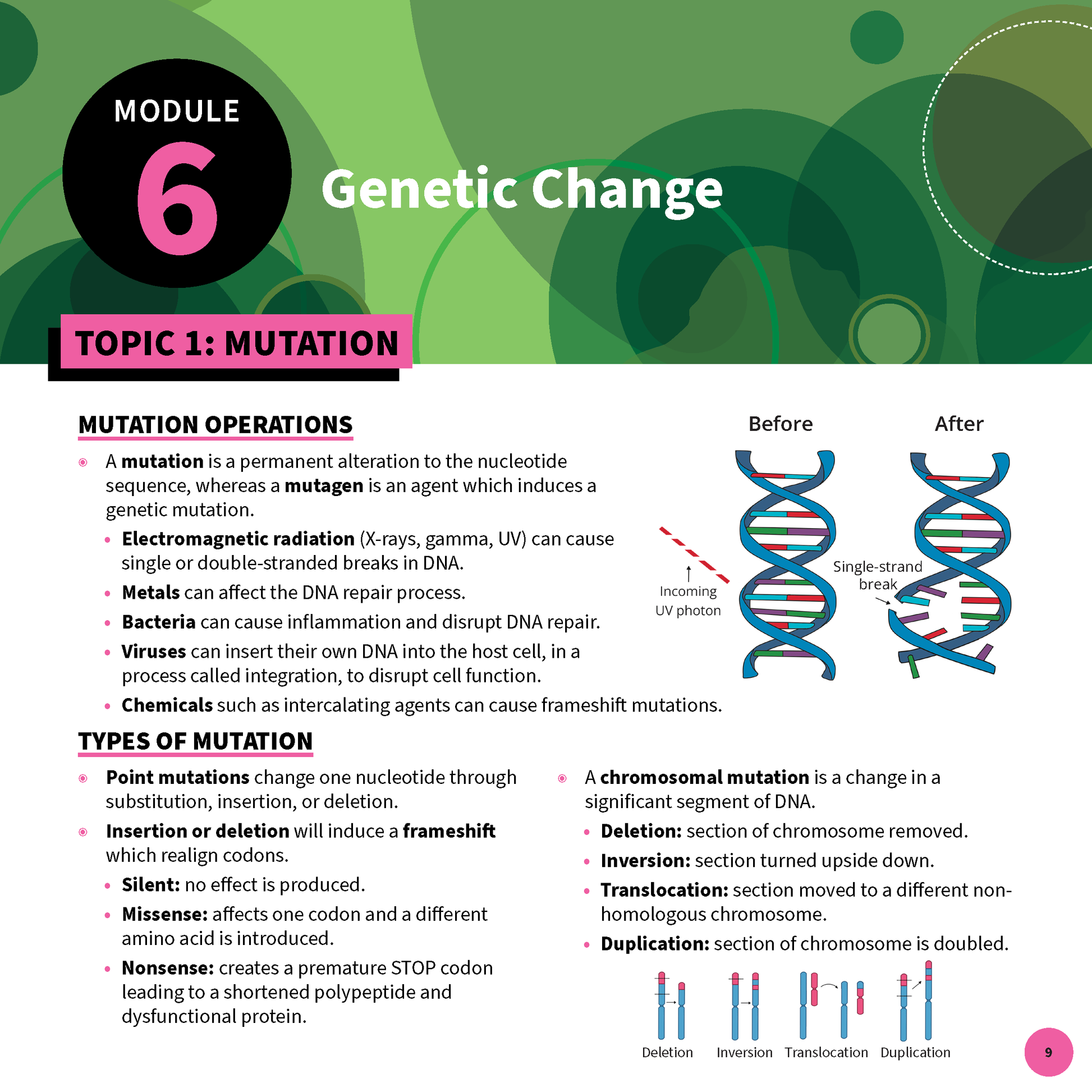 Biology summary sheets by ATAR Notes displaying Module 6 Genetic Change with DNA mutation diagrams and types of mutation text.