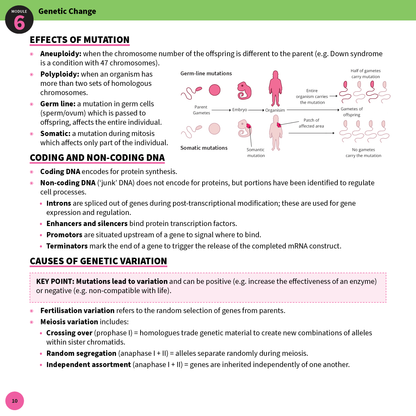 Biology Summary Sheet by ATAR Notes, a white page with green and pink headings, and diagrams illustrating genetic change.